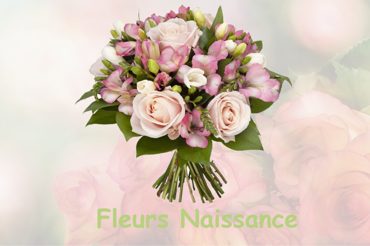 fleurs naissance FLEURY-LA-FORET